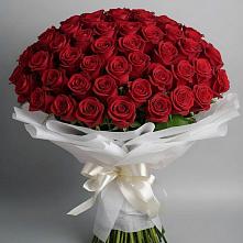 Букет 101 Красная роза Блэк Мэджик #REPLACE_PRED# Большой Казинке