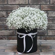 Цветочная композиция из Гипсофила в шляпной коробке в Большой Казинке