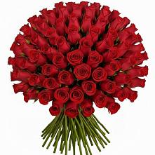 Букет Красные розы Чери Лав #REPLACE_PRED# Большой Казинке